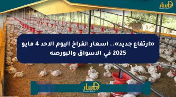 «ارتفاع جديد».. أسعار الفراخ اليوم الأحد 4 مايو 2025 في الأسواق والبورصة